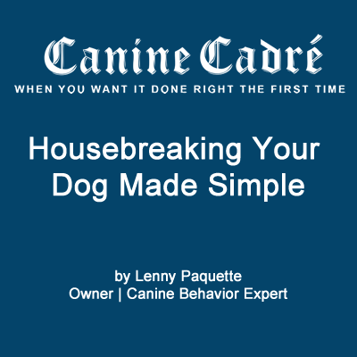 Housebreaking your dog made simple